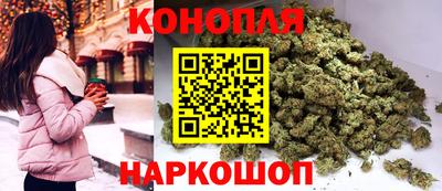 дживик Можга