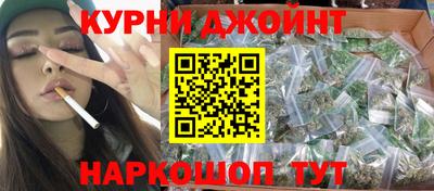 дживик Можга