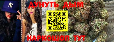 дживик Можга