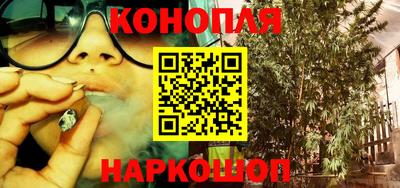 дживик Можга