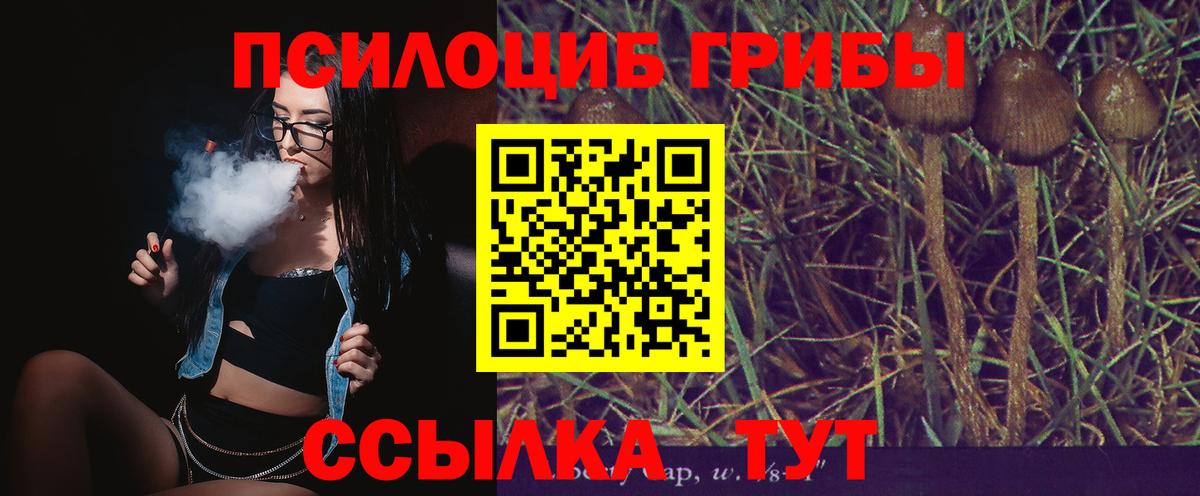 наркота  Псилоцибиновые грибы Psilocybine cubensis  Вход с VPN  Псилоцибиновые грибы Psilocybe  Гудермес 