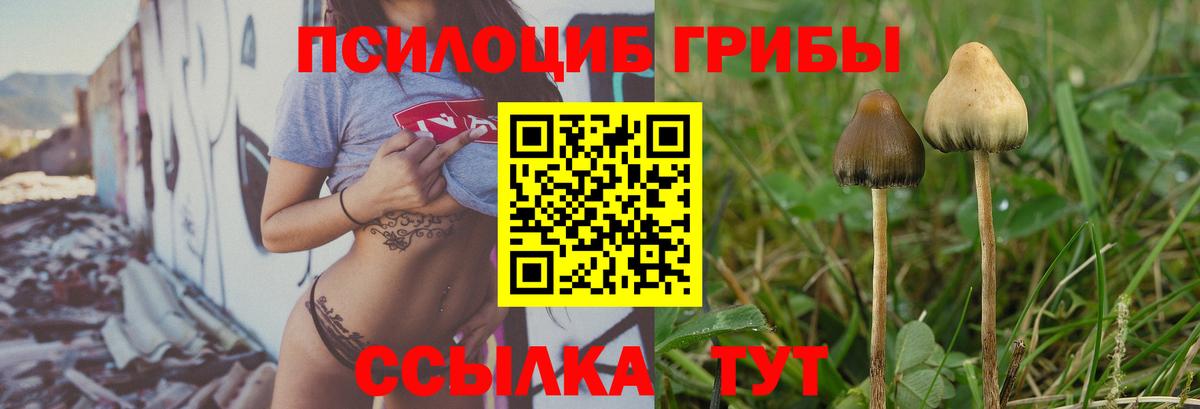 Псилоцибиновые грибы мухоморы Гудермес